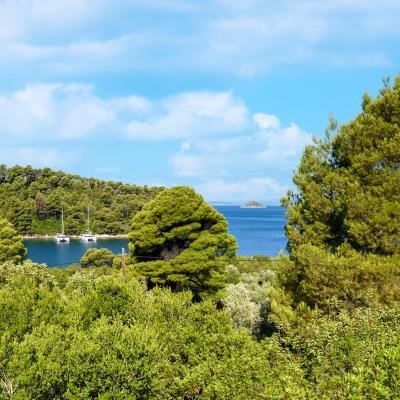Project My Skopelos 2021001